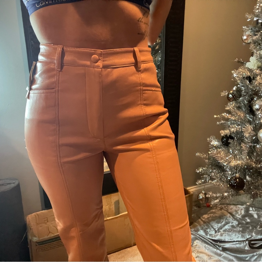 Aritzia Leather Pant